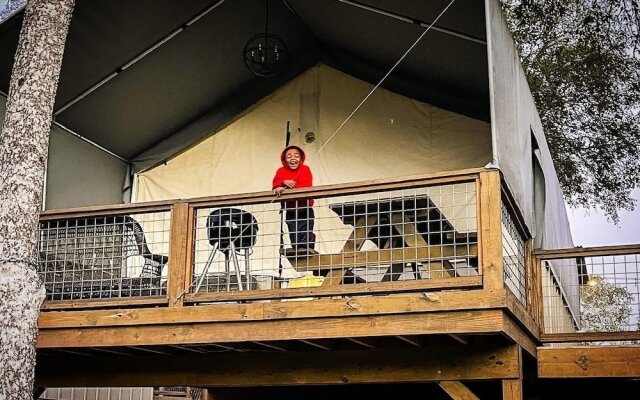 9 Son's Geronimo - Birdhouse Cabin