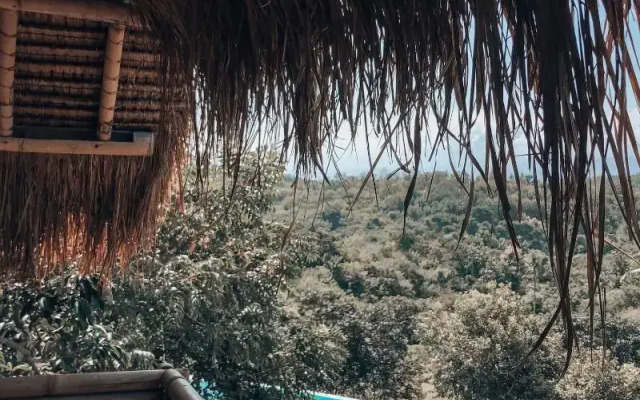 Penida Bambu Green Villas