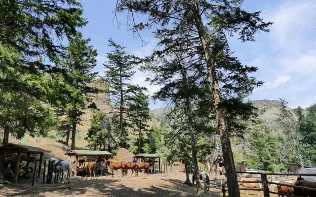 Bill Cody Ranch