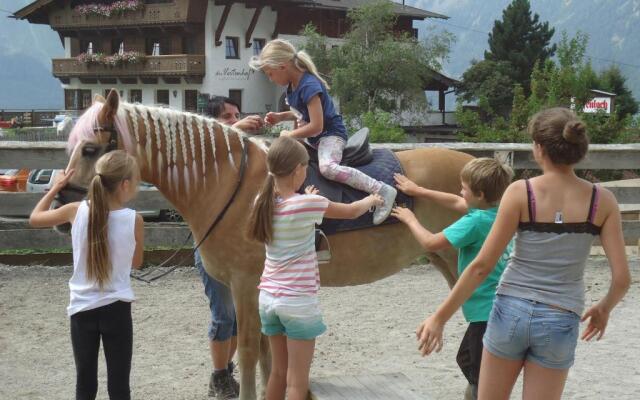 Biologische Pension & Boerderij "de Veitenhof"