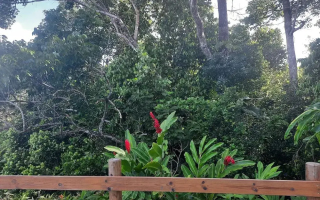 Les roses de porcelaines