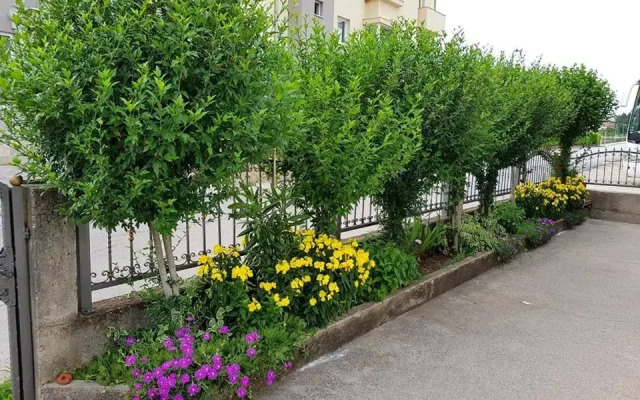 Pansion Speranza Međugorje