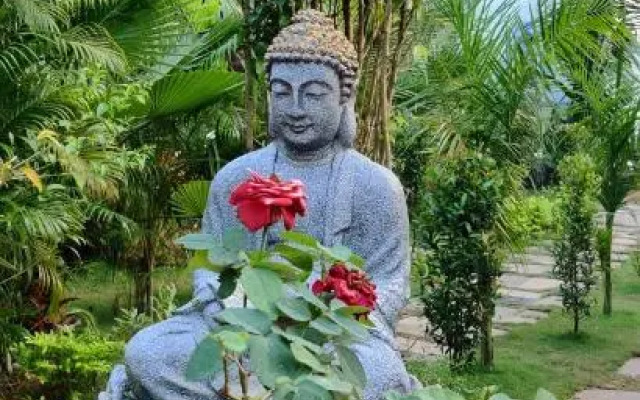 JP Resort