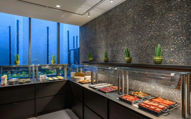 Hilton Garden Inn Debrecen City Center