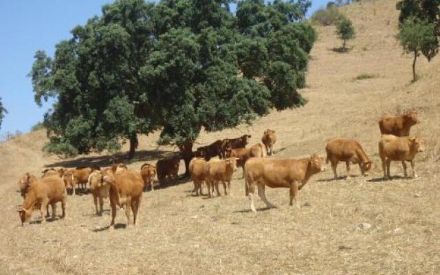 Herdade dos Montes Bastos