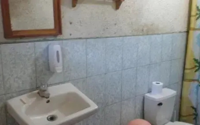 Hostel Edelma