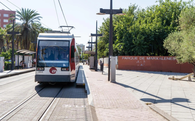 MD Horticultor Galán