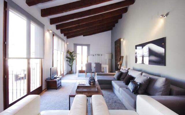 Valencia Luxury Ciutat Vella Penthouse