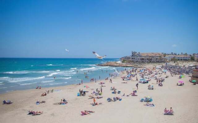 La Zenia T.Experience