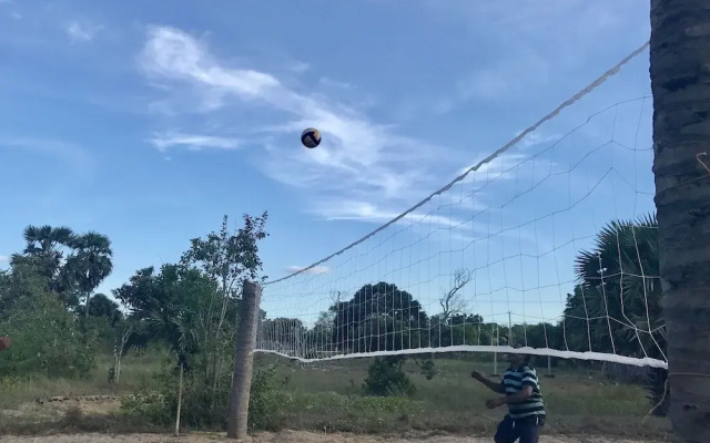 The Coconut