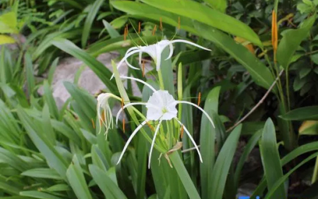 Nanmei Hot Spring Mountain Villa