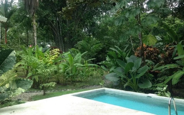 The Whale Resort
