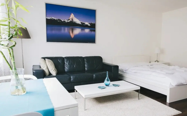 Charming Studio 3´To Limmat River with Pocket Wifi
