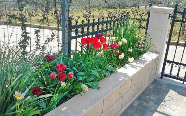 Apartments Sunny Side Orebić