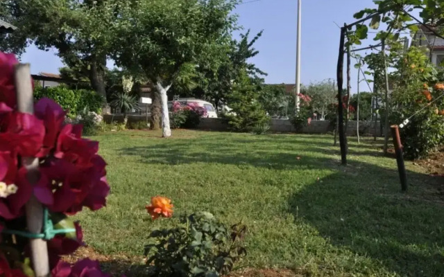 Apartman Kadumi