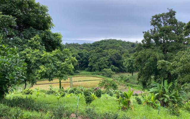 Ing Chan Farm /ไร่อิงจันทร์