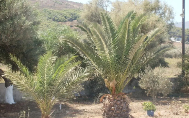 Marousso Guest House