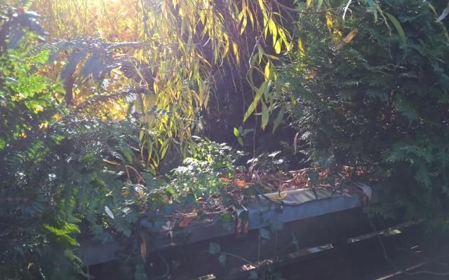 Gemütl. Ferienwohnung und Privatzimmer