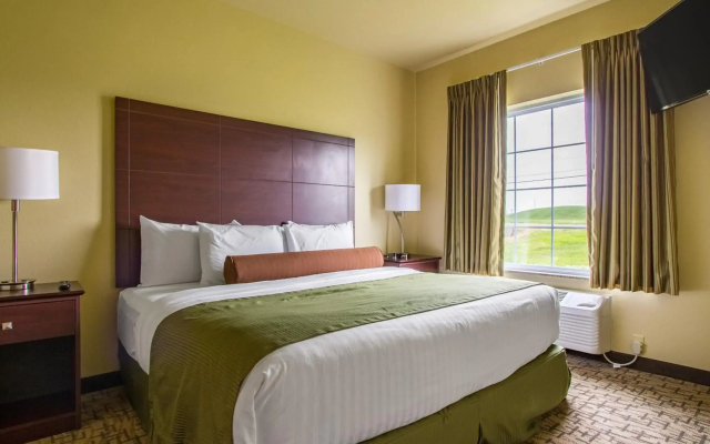 Cobblestone Inn & Suites - Durand