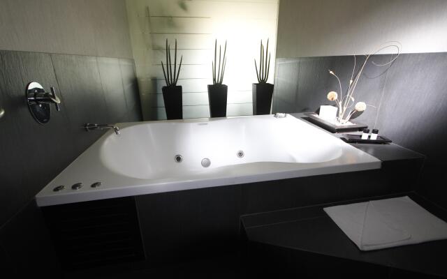 Crowne Plaza Toluca Lancaster by IHG