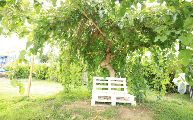 Diva Turka Hotel & Beach