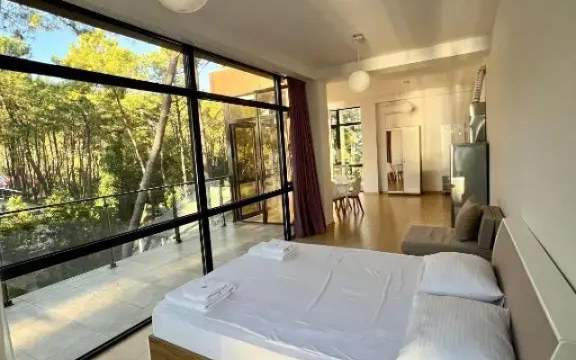 Aparthotel Shekvetili 2