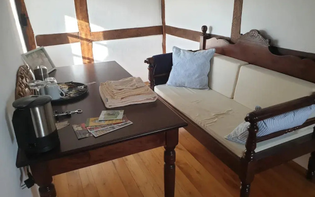 La Alqueria de las Alpacas - Alpakas am Ardey