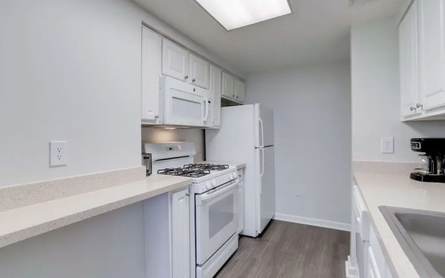 Fantastic Apt with City View at Ballston