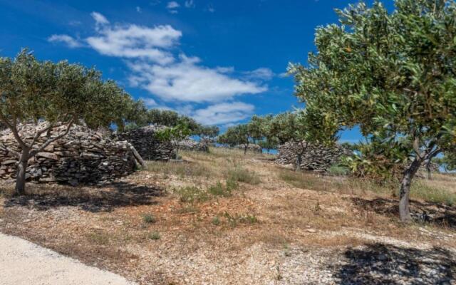 Branko - Large Terrace - H