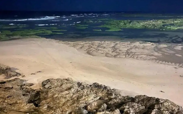 Apartamento em frente a Praia da Pituba Salvador