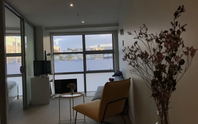 Leafy Street Apartment Central Auckland