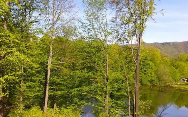 Pensiune păstrăvărie La pintea haiducu