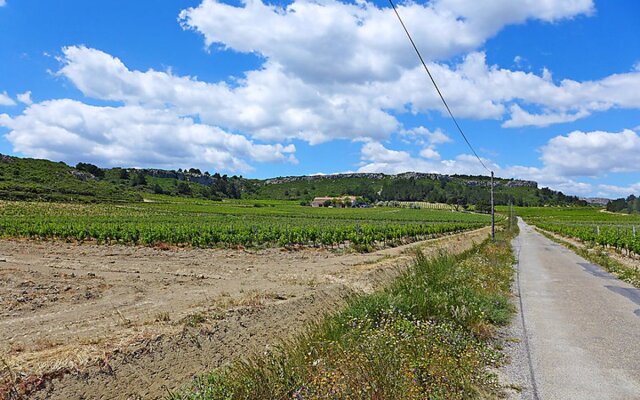 Les Vendanges