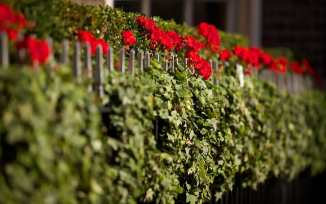 The Chesterfield Mayfair