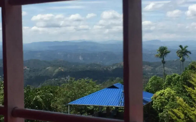 Wood House Munnar