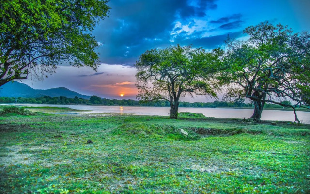 Yala Edge Camping