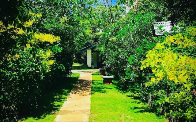 NATURALIZA
