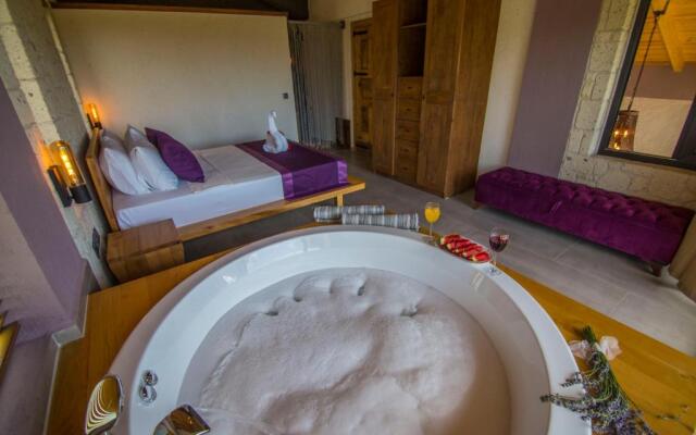 Volans Suites