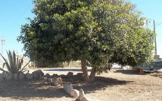 Lampedusa Dammusi del Blue & Green