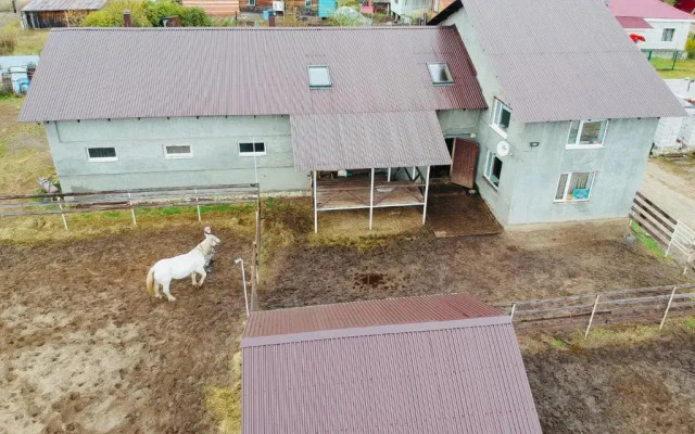 Guesthouse Konny dvor Loschinino