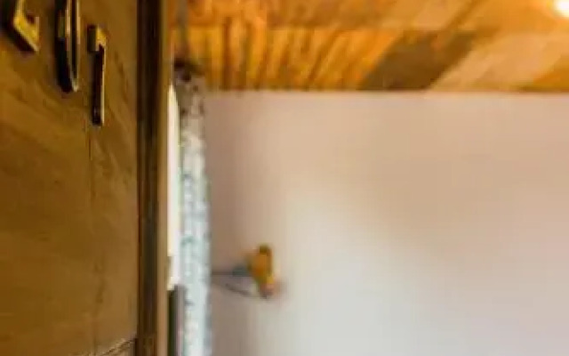 September Hui zhou Homestay