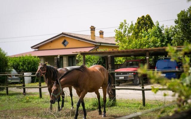 Agriturismo L.B.Stud