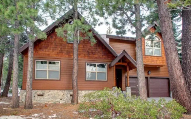 Tall Pines