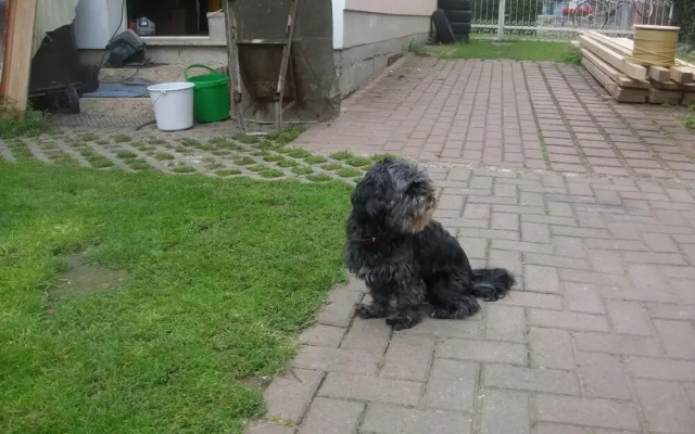 Landferienhaus Pension Erika