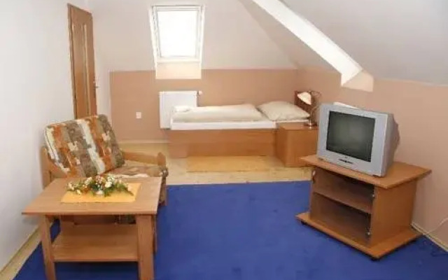 Hotel Allvet