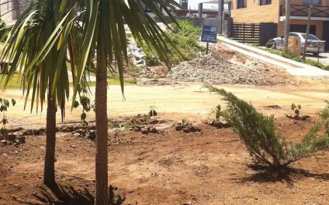 Arenas de San Francisco