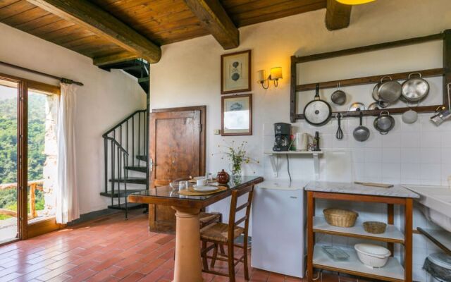 Podere Cima a Zano / Apt.Fienile PCA107