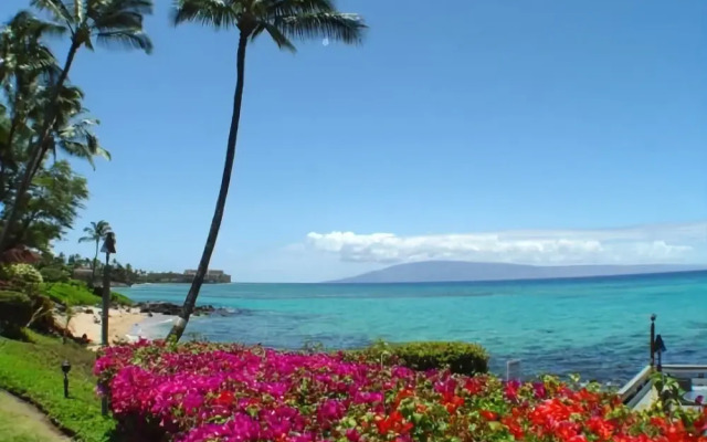 Polynesian Shores