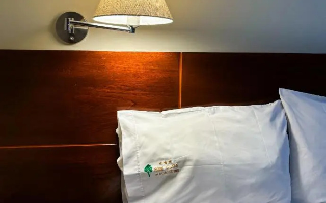 Hotel Plaza Del Bosque Inn