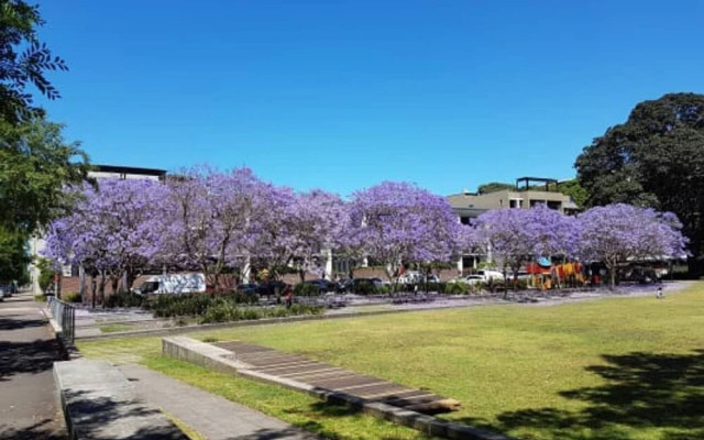 Convenient & Cozy 1BR next to Mall